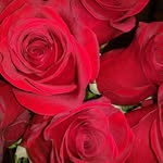 Pat Chambers - @pat.chambers.7549 - Instagram
