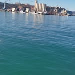 Pat Chance - @patchance8 - Instagram