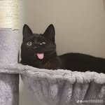 patpatcha - @patcha_ngl - Instagram