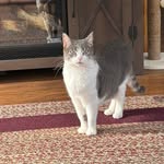 Pat Chapin - @pat.chapin - Instagram