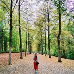 Patchapinya Wat - @patchapinya - Instagram