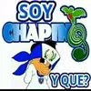 Patojo Chapin502🇬🇹🐷 - @patojo.chapin502 - TikTok