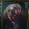 Pat Chappell - @pat.chappell0 - TikTok