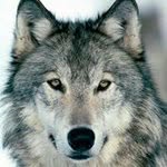 Pat Charles - @pat.charles.148 - Instagram