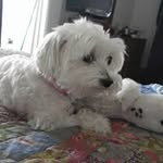 Pat Chatfield - @pat.chatfield.52 - Instagram
