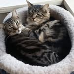 Pat Kelly - @pat.chatfield - Instagram