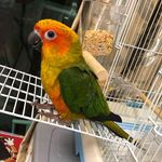 Pat Cheung - @pat10200040 - Instagram
