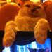 Pat Cheung - Facebook