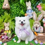 Pat Chiu - @pat.chiu.737 - Instagram