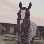 pat christ - @p.christ0 - Instagram