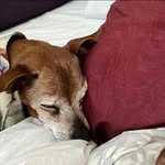 Patty Christopherson - @pattychristopherson - Instagram