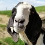 Pat Clair - @patclair1 - Instagram