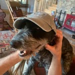 Pat Clapp - @patnpattie - Instagram