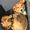 Pat Clarkson - @pat.clarkson8 - TikTok