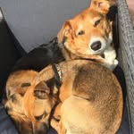 Pat Clarkson - @patclarkson1 - Instagram