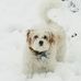 Pat Clemmons - Facebook