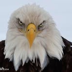 Pat Clow - Facebook