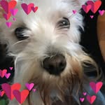 Patricia Laneve Clutter - @patricialaneve - Instagram