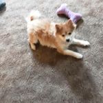 Pat Coatney - @patcoatney - Instagram