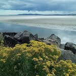 Pat Coburn - @pat.coburn.18 - Instagram