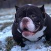 @pato🦍coco💪🏻 - @janayramonzambran - TikTok