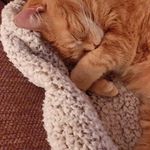 Pat Coffman - @pat.coffman.908 - Instagram