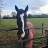 Pat Cogan - @pat.cogan - TikTok