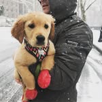@patrick_colangelo - Instagram