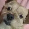 Patty Colángelo - @.patty.com - TikTok