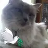 Patricia Colby - @patricia.colby - TikTok