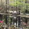 Pat Coles - @pat.coles3 - TikTok