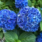 Pat Colley - @patccpa - Instagram