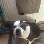 Pat Collier - @patricia.collier1 - Instagram