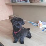 Pat Colon - @colonpatrick06 - Instagram