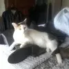 patcolton299 - @patcolton299 - TikTok