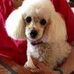 Pat Colucci - Facebook