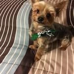 Pat Colvin - @patcolvin60 - Instagram