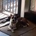 Pat Comeau - Facebook