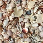 Pat Comeau - @pat.comeau.5 - Instagram