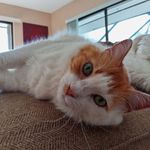 Pat Comer - @pat__1345 - Instagram