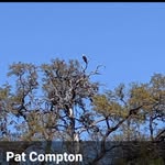 Pat Compton - @pcompton7 - Instagram
