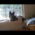 Pat Compton - @patsee0217 - Instagram