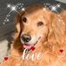 Pat Conn - Facebook