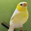 patconnolly10 - @patconnolly10 - TikTok