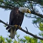 Pat Conroy - @conropl - Instagram