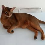 Pat Conti - @conti.pat - Instagram