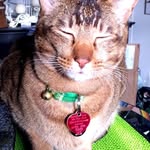 Pat Conti - @pattypatpat52 - Instagram
