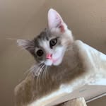 Pat Contino - @continopat - Instagram