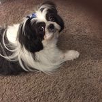 Pat Cooper - @patcooper65 - Instagram