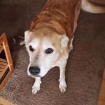 Patrick Crandall - @patrick_crandall - Instagram